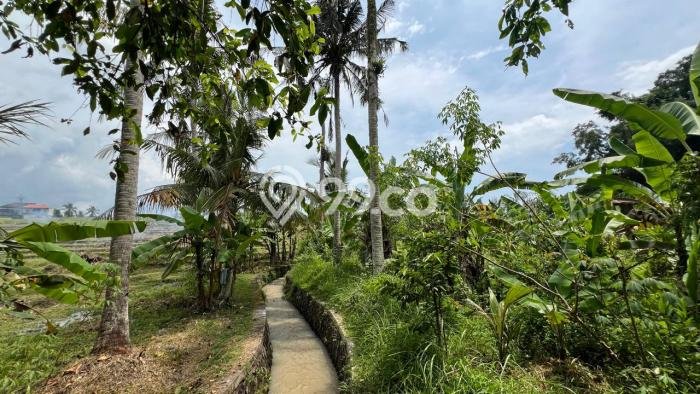 Tanah Investasi Dijual di Tabanan Punya Luas 1350m2 Tanah Investasi Dijual di Tabanan Punya Luas 1350m2