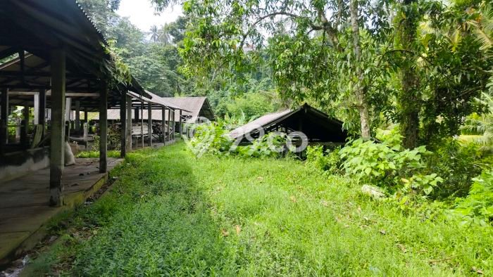 Kavling Tanah Dijual di Penebel Tabanan Spesifikasi 10500m2 Kavling Tanah Dijual di Penebel Tabanan Spesifikasi 10500m2