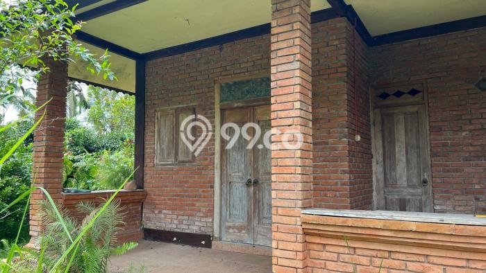 Lahan untuk Dijual di Tabanan Tabanan Luas 3000m2 Lahan untuk Dijual di Tabanan Tabanan Luas 3000m2