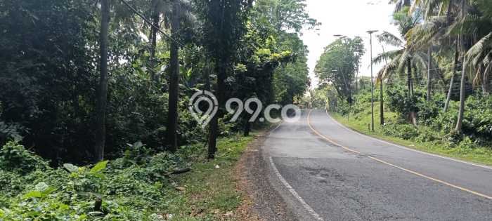 Tanah Dijual Area Strategis di Antap Tabanan 12000m2 Tanah Dijual Area Strategis di Antap Tabanan 12000m2