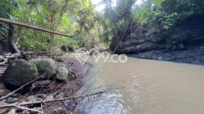 Tanah Dijual Lokasi Selemadeg, Tabanan Luas 8170m2 Legalitas Aman Tanah Dijual Lokasi Selemadeg, Tabanan Luas 8170m2 Legalitas Aman