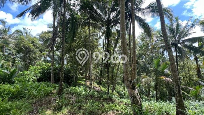 Untuk Dijual Tanah di Tabanan, Luas 6000m2 SHM Untuk Dijual Tanah di Tabanan, Luas 6000m2 SHM