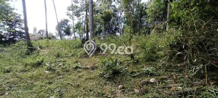 Tanah Dijual Area Strategis di Antap Tabanan 12000m2 Tanah Dijual Area Strategis di Antap Tabanan 12000m2
