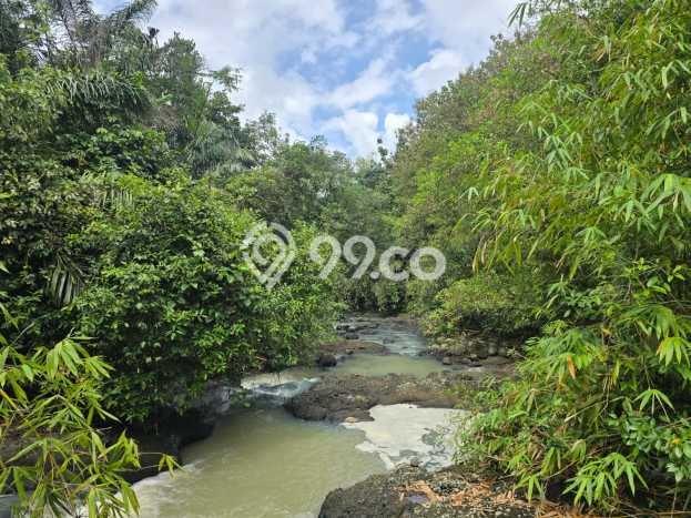 Kavling Tanah Dijual di Selemadeg Tabanan Spesifikasi 4400m2 Kavling Tanah Dijual di Selemadeg Tabanan Spesifikasi 4400m2