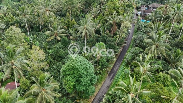 Lahan Dijual Lokasi Selemadeg, Tabanan dengan Luas Tanah 10m2 dan Status SHM Lahan Dijual Lokasi Selemadeg, Tabanan dengan Luas Tanah 10m2 dan Status SHM