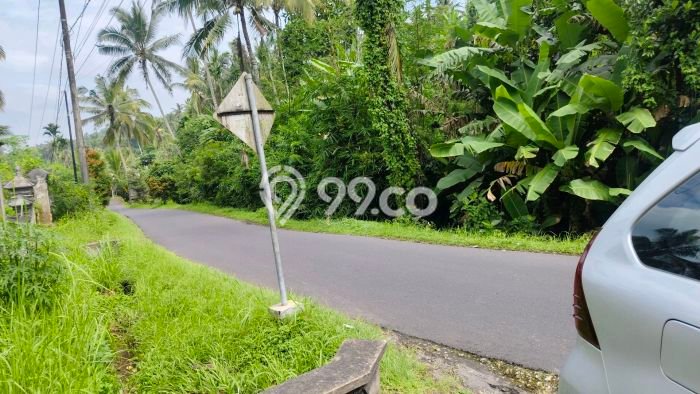 Kavling Tanah Dijual di Penebel Tabanan Spesifikasi 10500m2 Kavling Tanah Dijual di Penebel Tabanan Spesifikasi 10500m2