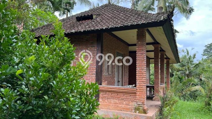 Lahan untuk Dijual di Tabanan Tabanan Luas 3000m2 Lahan untuk Dijual di Tabanan Tabanan Luas 3000m2