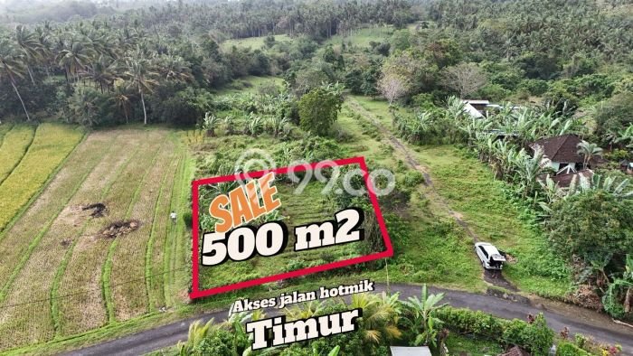 Tanah Dijual di Tabanan Seluas 500m2 Strategis Tanah Dijual di Tabanan Seluas 500m2 Strategis