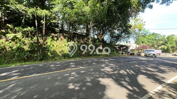 Tanah Kavling Dijual di Lalanglinggah, Tabanan dengan Luas Tanah 10205m2 Tanah Kavling Dijual di Lalanglinggah, Tabanan dengan Luas Tanah 10205m2