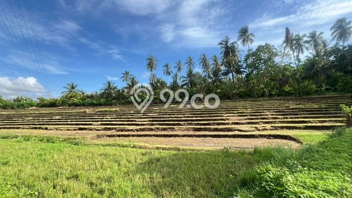 Tanah Komersial Dijual di Selemadeg Tabanan 2390m2 Tanah Komersial Dijual di Selemadeg Tabanan 2390m2