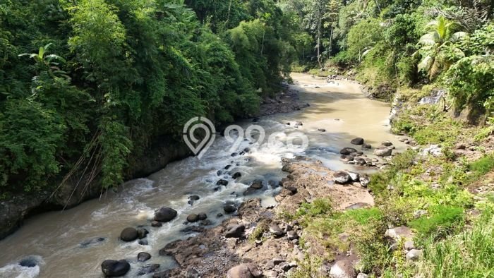 Tanah Komersial Dijual di Selemadeg Tabanan 2000m2 Tanah Komersial Dijual di Selemadeg Tabanan 2000m2