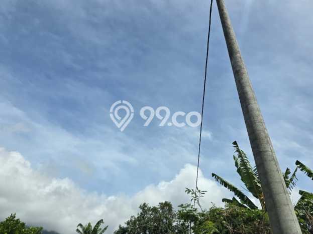 Tanah Dijual Lokasi Petang Badung SHM Tanah Dijual Lokasi Petang Badung SHM