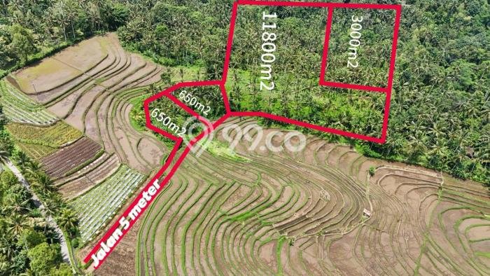 Dijual Tanah di Tabanan Tabanan Luas 16100m2 SHM Dijual Tanah di Tabanan Tabanan Luas 16100m2 SHM