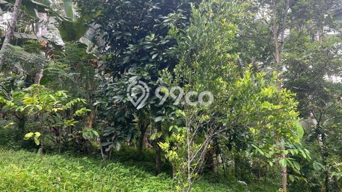 Dijual Tanah di Tabanan, Luas 1900m2 SHM Dijual Tanah di Tabanan, Luas 1900m2 SHM