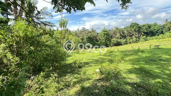 Tanah Kavling Dijual di Lalanglinggah, Tabanan dengan Luas Tanah 10205m2 Tanah Kavling Dijual di Lalanglinggah, Tabanan dengan Luas Tanah 10205m2