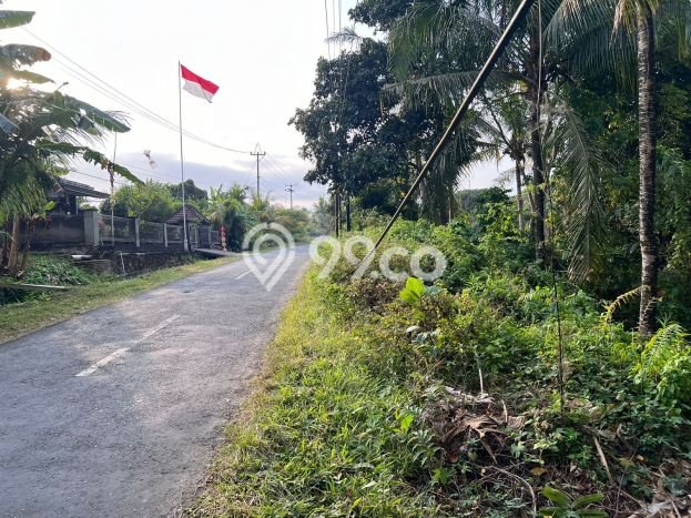 Tanah di Selemadeg, Tabanan Luas 850m2 Dijual Segera Tanah di Selemadeg, Tabanan Luas 850m2 Dijual Segera