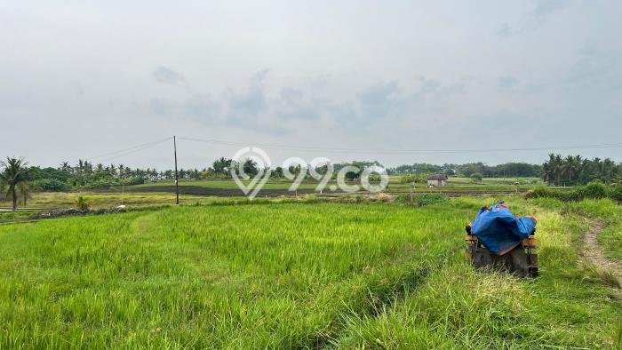 Tanah Kosong Dijual di Tabanan dengan Area 1250m2 Tanah Kosong Dijual di Tabanan dengan Area 1250m2