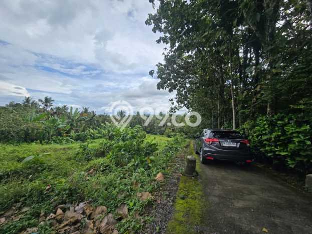 Kavling Tanah di Selemadeg Dijual Luas 1170m2 Legalitas SHM Kavling Tanah di Selemadeg Dijual Luas 1170m2 Legalitas SHM