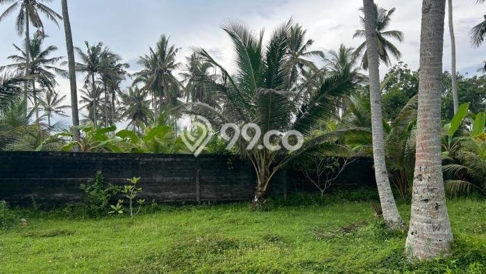 Tanah Dijual Lokasi Negara Jembrana SHM Tanah Dijual Lokasi Negara Jembrana SHM