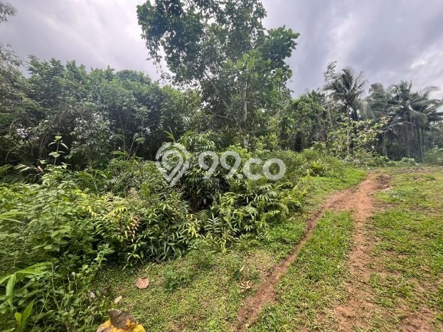 Tanah Strategis Dijual di Selemadeg Tabanan 4800m2 Tanah Strategis Dijual di Selemadeg Tabanan 4800m2