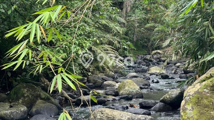 Lahan Dijual Lokasi Selemadeg, Tabanan dengan Luas Tanah 14000m2 dan Status SHM Lahan Dijual Lokasi Selemadeg, Tabanan dengan Luas Tanah 14000m2 dan Status SHM