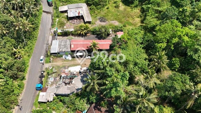 Untuk Dijual Tanah di Kerambitan Tabanan Luas 540m2 SHM Untuk Dijual Tanah di Kerambitan Tabanan Luas 540m2 SHM