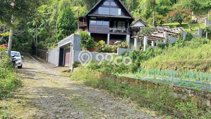 Jual Tanah Area Prospektif Kawasan Baturiti, Luas 5100m2m², Dekat Baturiti, Tabanan, Tabanan Jual Tanah Area Prospektif Kawasan Baturiti, Luas 5100m2m², Dekat Baturiti, Tabanan, Tabanan