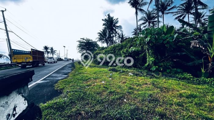 Lahan untuk Dijual Lokasi Selemadeg, Tabanan Luas 3000m2 SHM Lahan untuk Dijual Lokasi Selemadeg, Tabanan Luas 3000m2 SHM