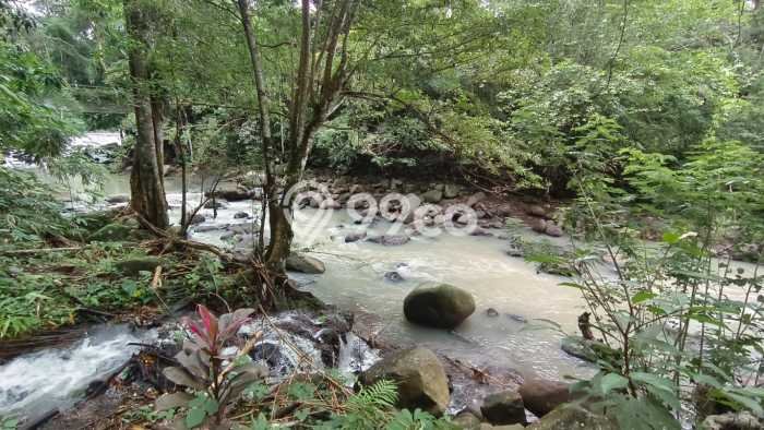 Tanah Kavling untuk Dijual di Tabanan Tabanan 4000m2 Tanah Kavling untuk Dijual di Tabanan Tabanan 4000m2