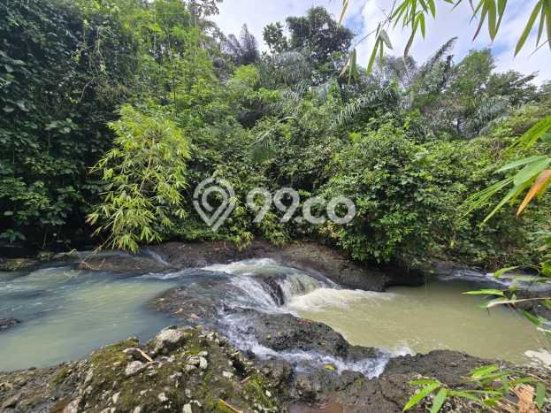 Kavling Tanah Dijual di Selemadeg Tabanan Spesifikasi 4400m2 Kavling Tanah Dijual di Selemadeg Tabanan Spesifikasi 4400m2