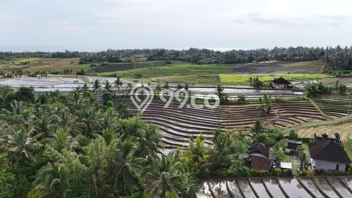 Tanah Kavling untuk Dijual di Selemadeg Tabanan 3740m2 Tanah Kavling untuk Dijual di Selemadeg Tabanan 3740m2