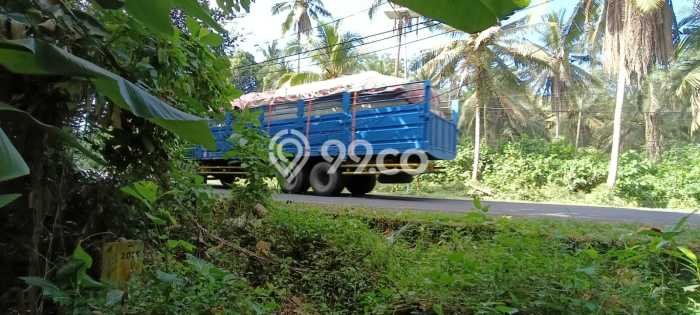 Tanah Dijual Area Strategis di Antap Tabanan 12000m2 Tanah Dijual Area Strategis di Antap Tabanan 12000m2