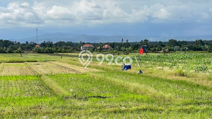 Tanah Dijual di Tabanan Seluas 550m2 Strategis Tanah Dijual di Tabanan Seluas 550m2 Strategis