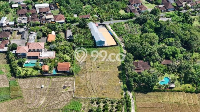 Kavling Tanah Dijual di Kerambitan Tabanan Spesifikasi 2600m2 Kavling Tanah Dijual di Kerambitan Tabanan Spesifikasi 2600m2
