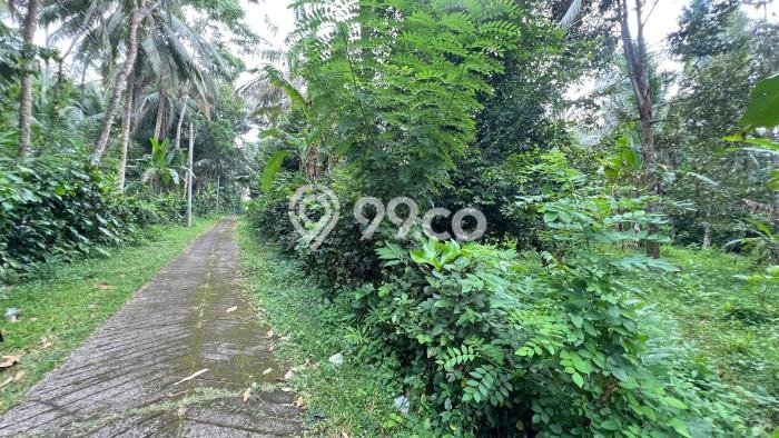 Lahan Kosong Dijual di Tabanan dengan Area 3800m2 Lahan Kosong Dijual di Tabanan dengan Area 3800m2