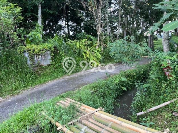 Tanah Kavling di Penebel Dijual dengan Luas 2500m2 Tanah Kavling di Penebel Dijual dengan Luas 2500m2