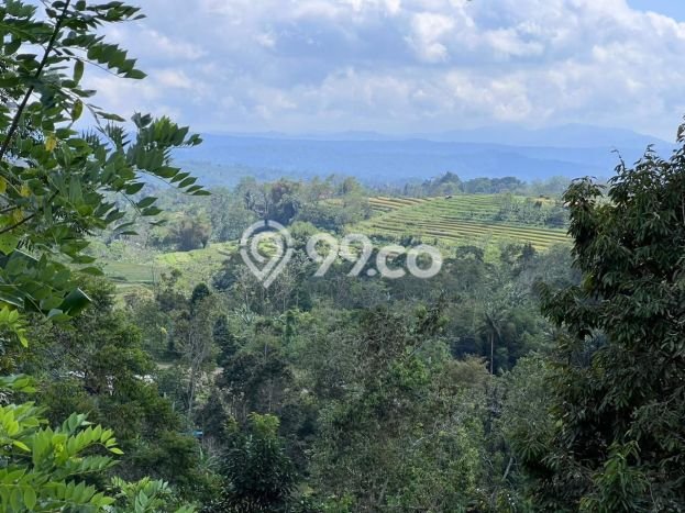 Tanah Siap Bangun Dijual di Tabanan Punya Luas 15000m2 Tanah Siap Bangun Dijual di Tabanan Punya Luas 15000m2