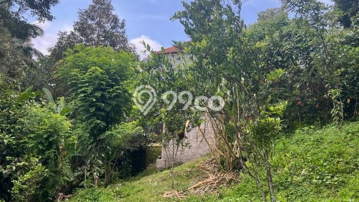 Dijual Tanah di Tabanan, Luas 1900m2 SHM Dijual Tanah di Tabanan, Luas 1900m2 SHM