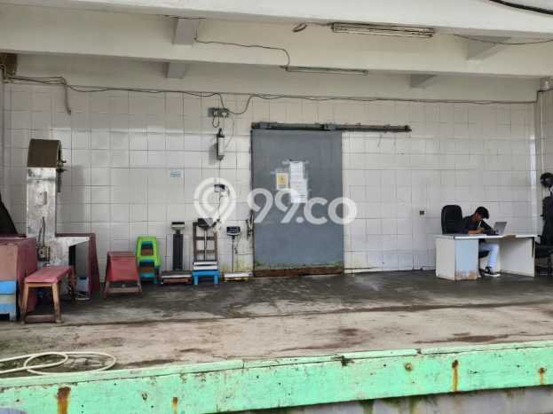 Paling Diincar! Gudang Dijual di Muara Baru Harga Kompetitif Paling Diincar! Gudang Dijual di Muara Baru Harga Kompetitif