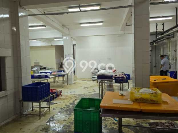 Paling Diincar! Gudang Dijual di Muara Baru Harga Kompetitif Paling Diincar! Gudang Dijual di Muara Baru Harga Kompetitif