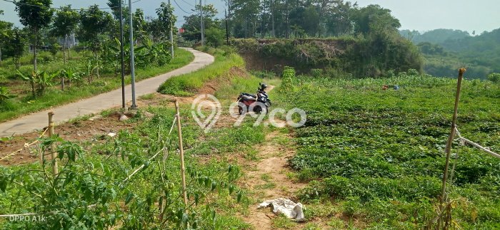 Tanah Dijual Lokasi Strategis di Bandung dengan Luas 30000m2 Tanah Dijual Lokasi Strategis di Bandung dengan Luas 30000m2