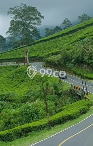 Tanah Dijual Lokasi Ciwidey Bandung SHM Tanah Dijual Lokasi Ciwidey Bandung SHM