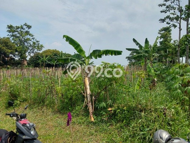 Dijual Tanah di Jatinangor Sumedang Luas 1000m2 SHM Dijual Tanah di Jatinangor Sumedang Luas 1000m2 SHM