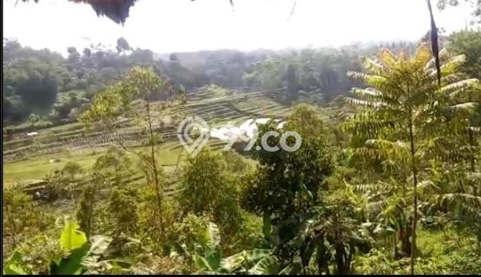 Tanah Dijual Lokasi Ciwidey Bandung SHM Tanah Dijual Lokasi Ciwidey Bandung SHM