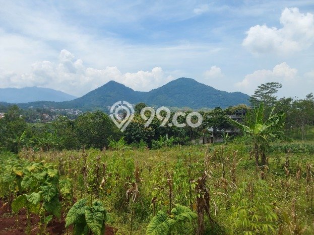 Dijual Tanah di Jatinangor Sumedang Luas 1000m2 SHM Dijual Tanah di Jatinangor Sumedang Luas 1000m2 SHM