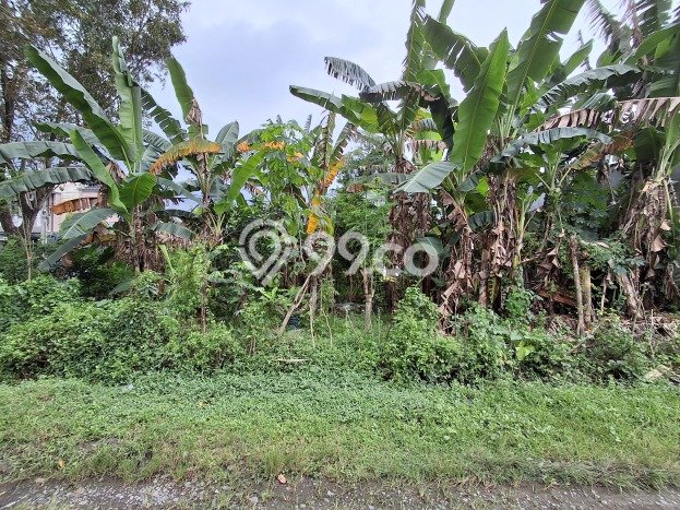 Tanah di Jombang, Jombang Luas 290m2 Dijual Segera Tanah di Jombang, Jombang Luas 290m2 Dijual Segera