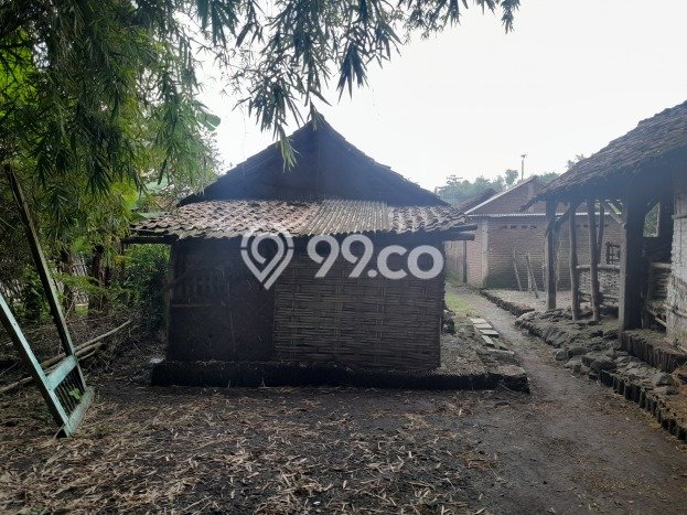 Rumah Budget Favorit Siap Huni di Mojowarno LT 337m2 Rumah Budget Favorit Siap Huni di Mojowarno LT 337m2