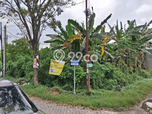 Tanah di Jombang, Jombang Luas 290m2 Dijual Segera Tanah di Jombang, Jombang Luas 290m2 Dijual Segera
