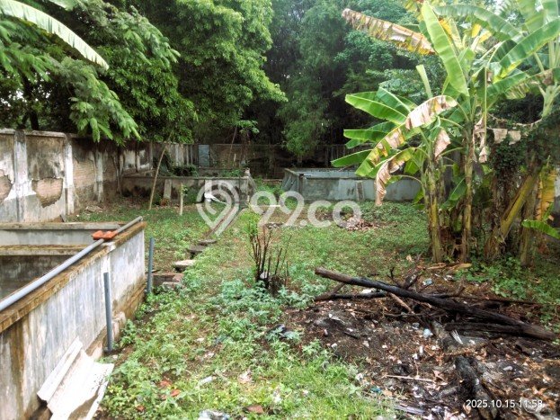 Ruko disewakan lokasi strategis Diwek Jombang 300m2 Ruko disewakan lokasi strategis Diwek Jombang 300m2