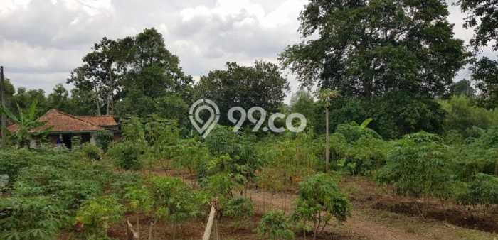 Dijual Tanah Lokasi Krukut, Depok Seluas 32000m2 Dijual Tanah Lokasi Krukut, Depok Seluas 32000m2